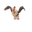 Mandibuzz