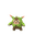Quilladin