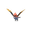 Fletchinder
