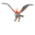 Talonflame