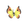Vivillon (Continental Pattern)