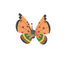 Vivillon (High Plains Pattern)