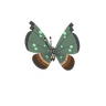 Vivillon (Jungle Pattern)