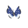 Vivillon (Polar Pattern)