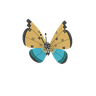 Vivillon (River Pattern)