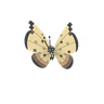 Vivillon (Sandstorm Pattern)