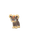 Litleo