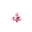 Spritzee