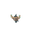 Phantump