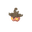 Pumpkaboo (Medium Variety)