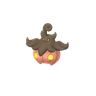 Pumpkaboo (Medium Variety)