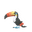 Toucannon