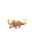 Yungoos