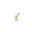 Cutiefly