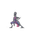 Salazzle