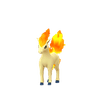 Ponyta