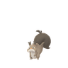 Skwovet