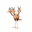 Dodrio