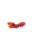 Sizzlipede