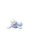 Seel