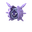 Cloyster