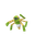 Spidops
