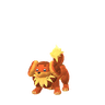 Dachsbun