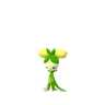 Dolliv