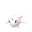 Cetoddle