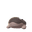 Clodsire